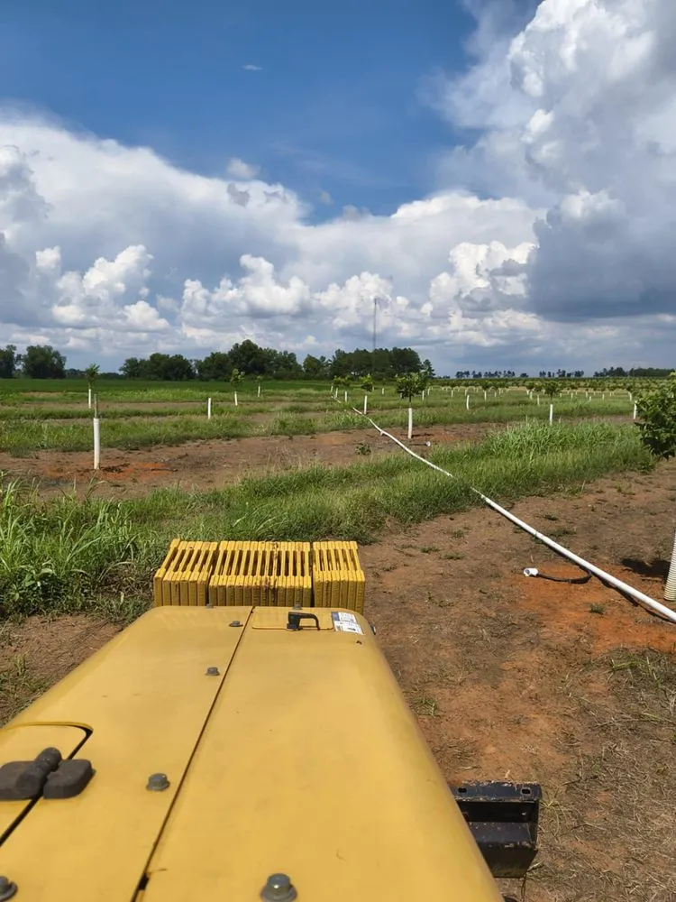 Top-rated landscaping services in Valdosta, GA - Giron Irrigation And More