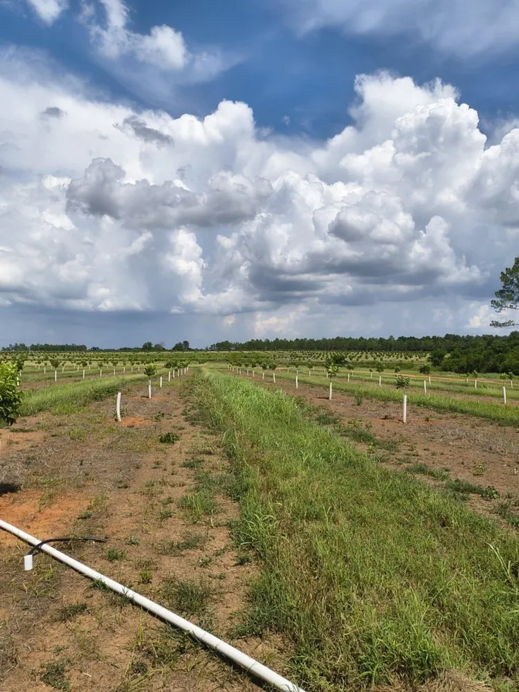 Local yard cleanup service for homes across Valdosta, GA - Giron Irrigation And More