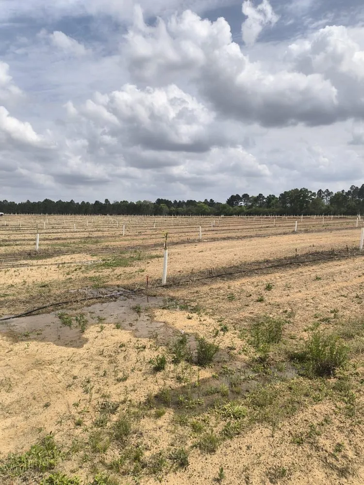 Affordable landscape design experts serving Valdosta, GA - Giron Irrigation And More