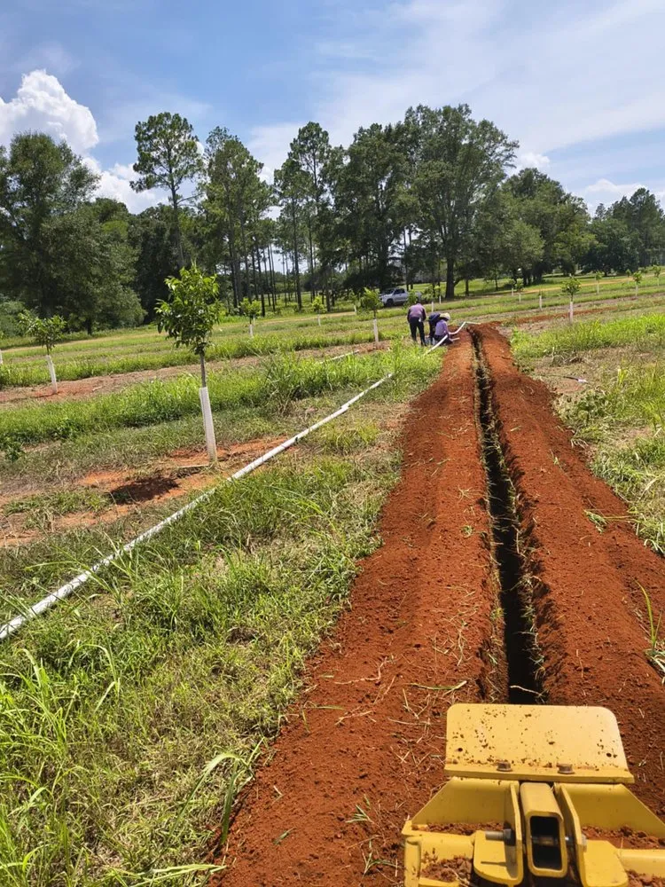 Top-rated landscaping services in Valdosta, GA by Giron Irrigation And More