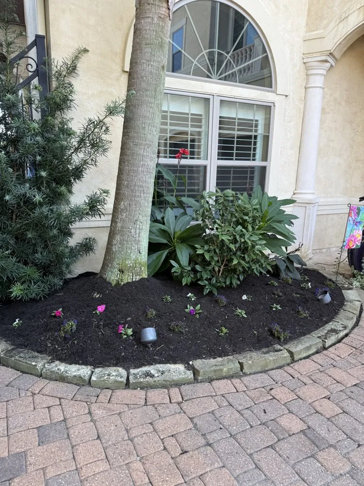 Expert yard maintenance in Houston, TX by Giron Landscape