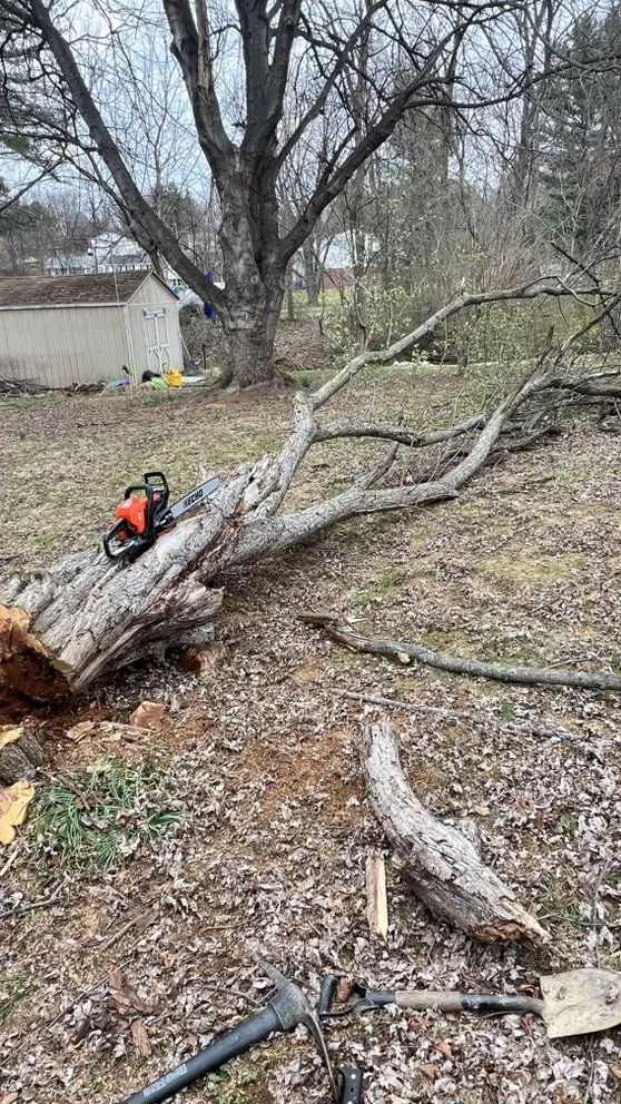 Trusted yard maintenance in Frederick, MD by Giron Landscaping