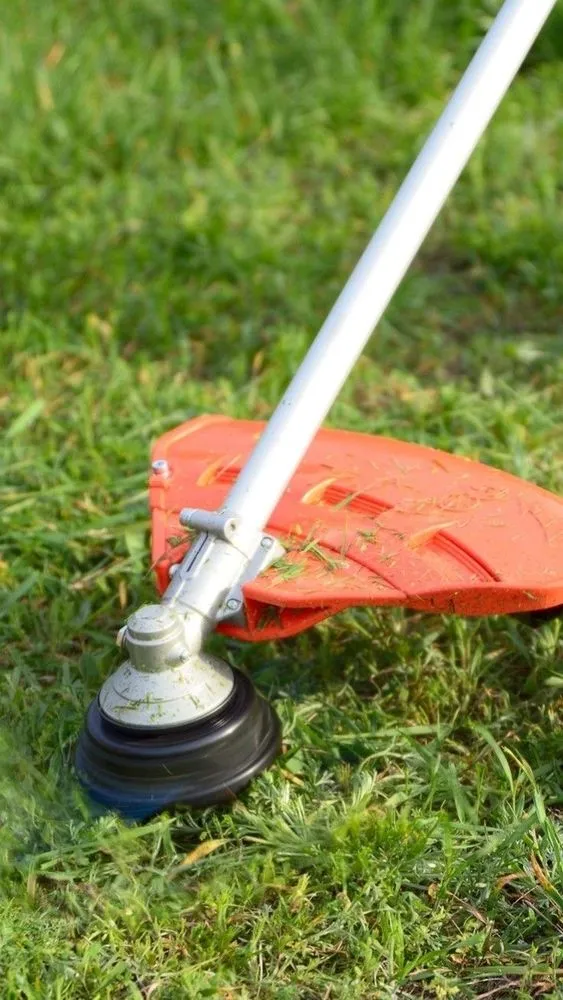 Local yard maintenance for homes in Nuevo, CA by Giron Landscaping