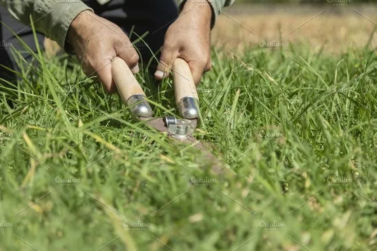 Affordable landscape installation in Nuevo, CA - Giron Landscaping