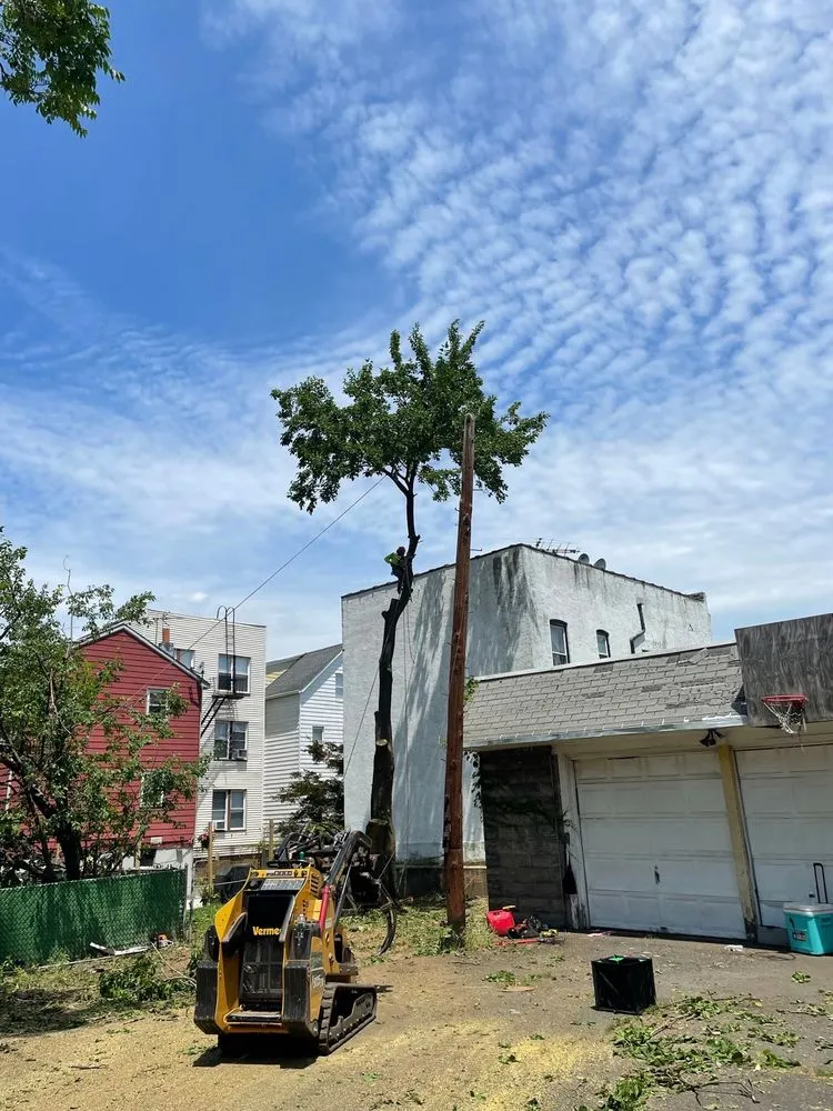 Trusted landscape installation experts serving Elizabeth, NJ - Giron's Tree Service