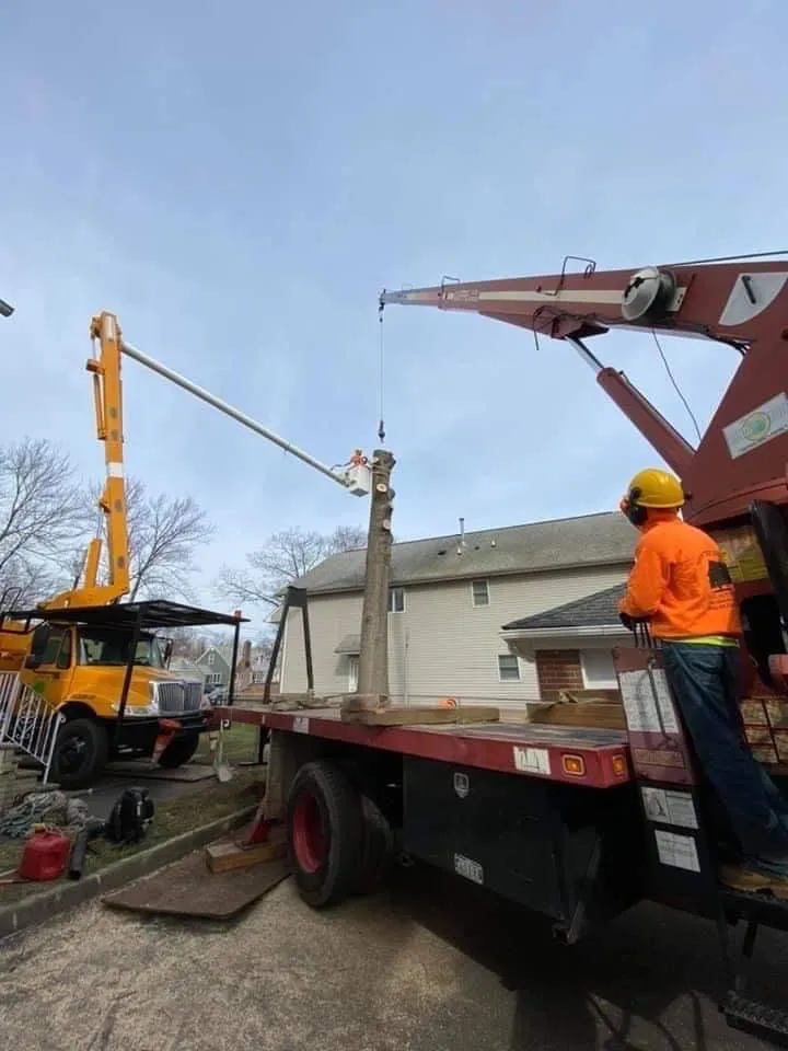 Professional yard maintenance in Elizabeth, NJ by Giron's Tree Service