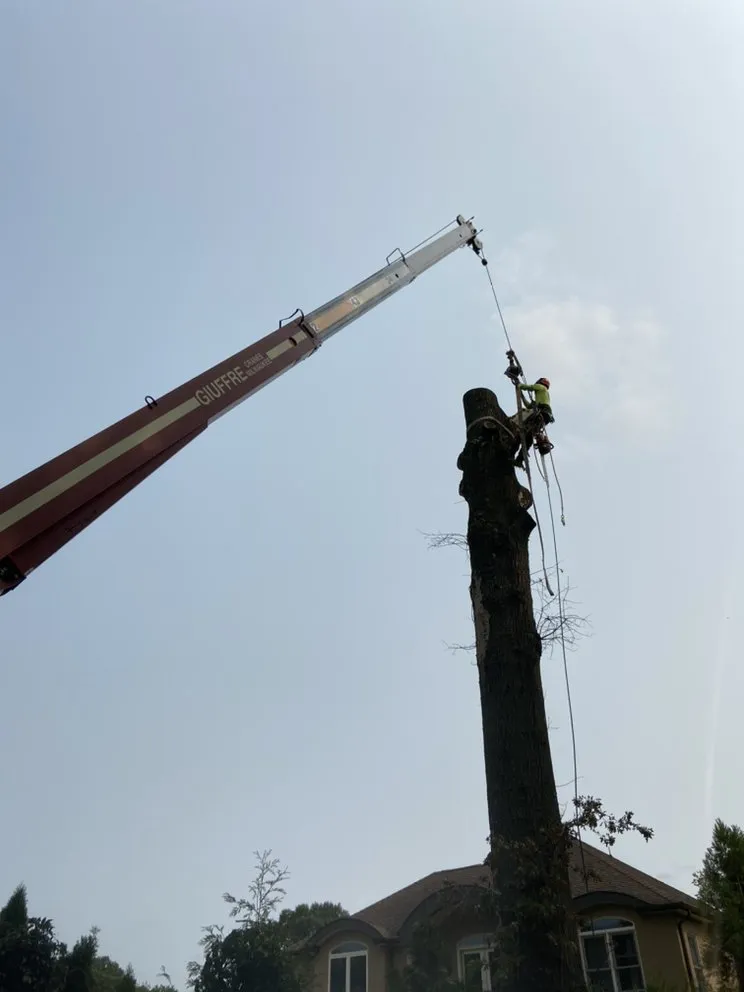 Affordable residential landscaping for residential properties across Elizabeth, NJ - Giron's Tree Service