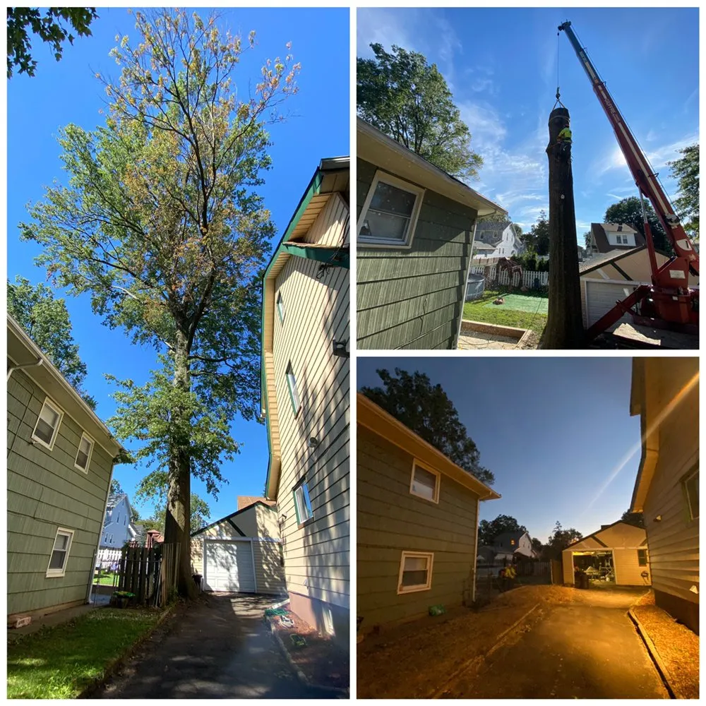 Trusted landscape installation experts serving Elizabeth, NJ - Giron's Tree Service