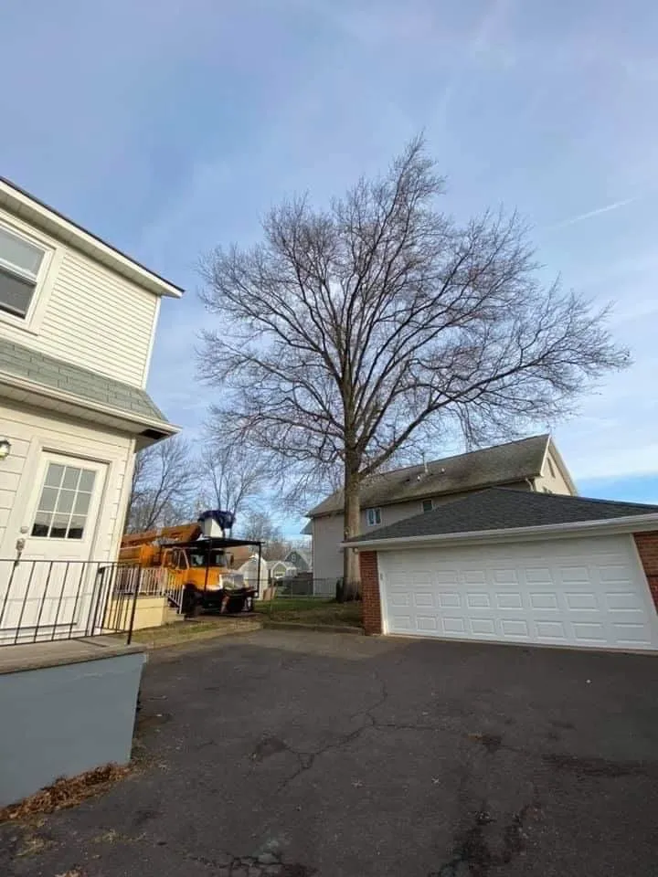 Local residential landscaping in Elizabeth, NJ - Giron's Tree Service