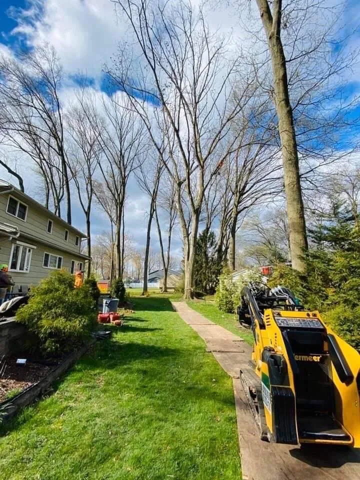 Expert outdoor landscaping for year-round maintenance across Elizabeth, NJ - Giron's Tree Service