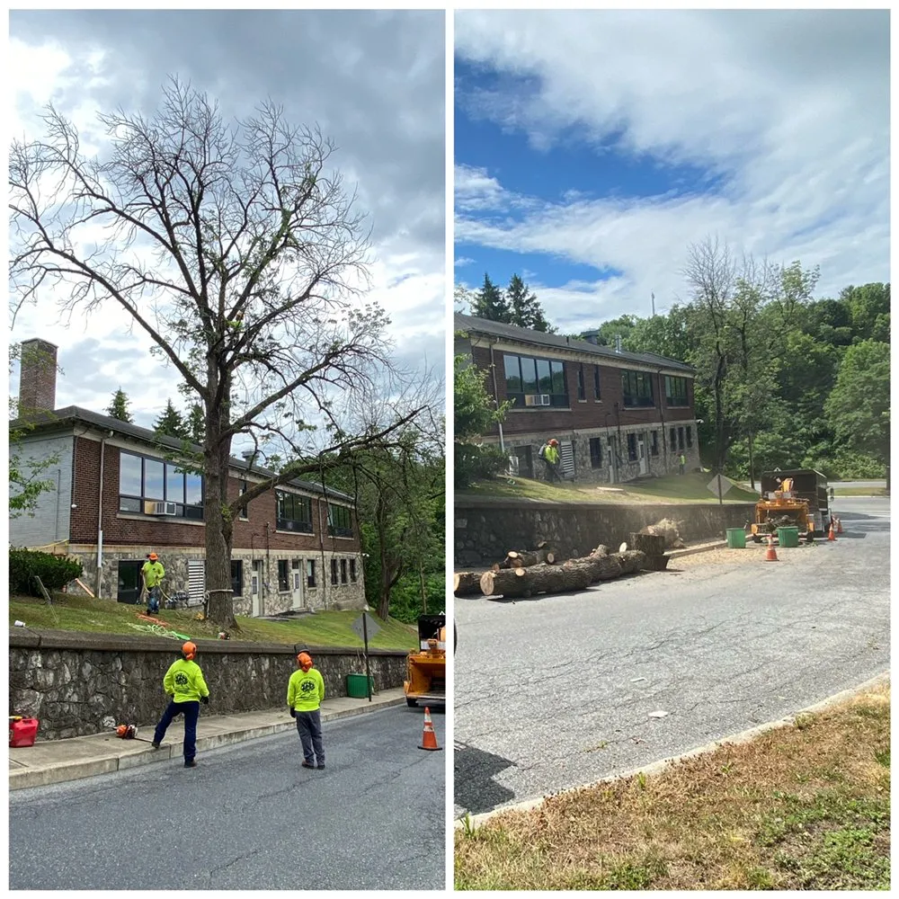 Expert landscape installation experts serving Elizabeth, NJ - Giron's Tree Service