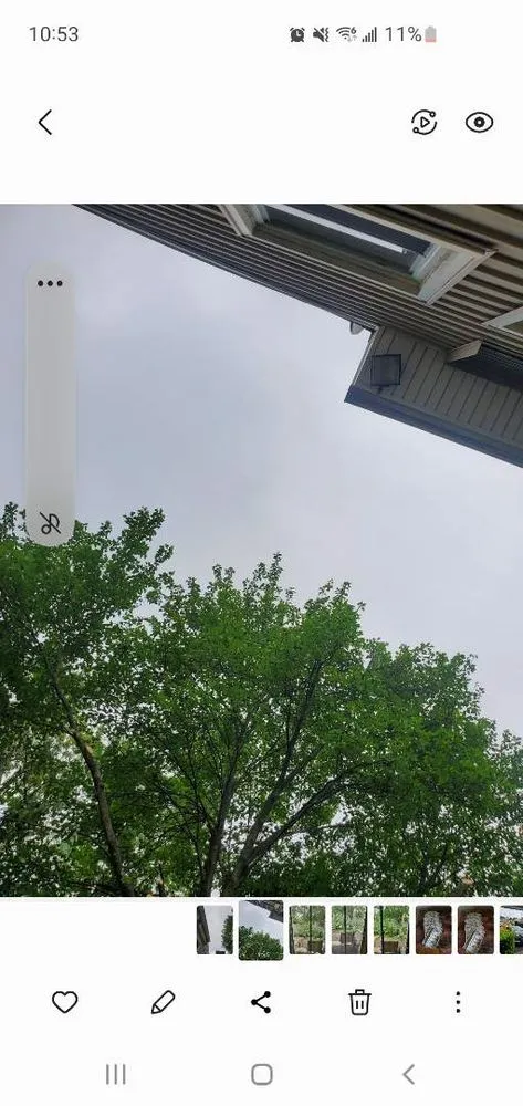 Local landscape installation experts serving Elizabeth, NJ - Giron's Tree Service