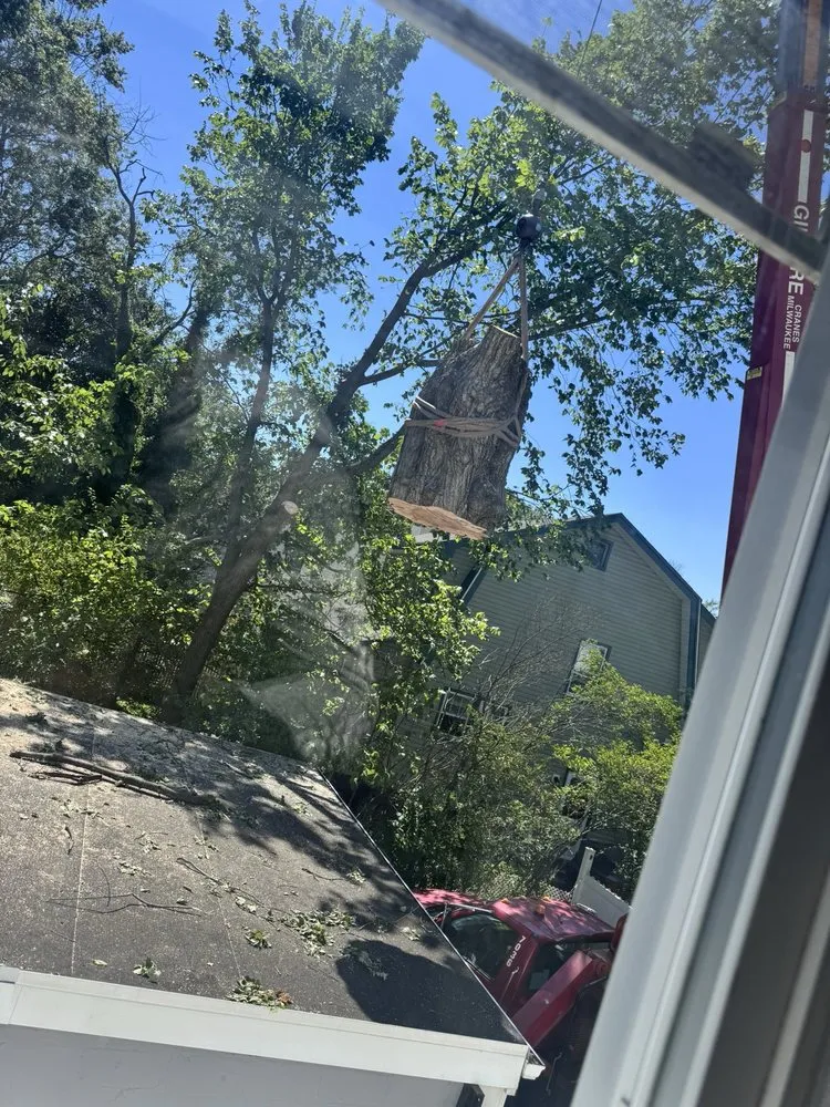 Professional lawn mowing service for homes in Elizabeth, NJ by Giron's Tree Service