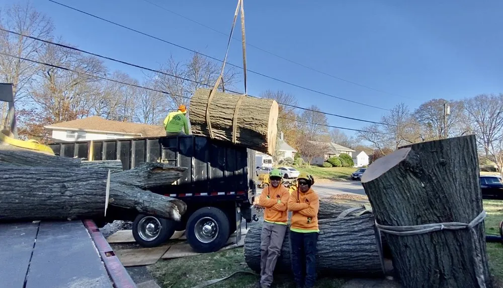 Professional lawn care service near you across Elizabeth, NJ - Giron's Tree Service