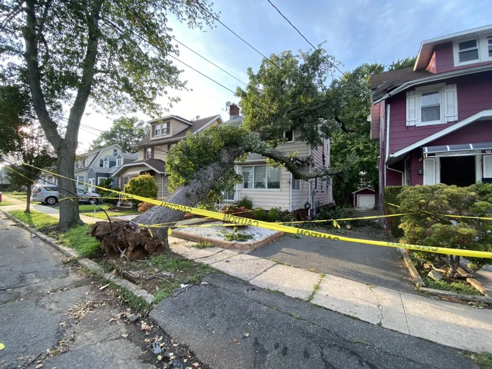 Professional outdoor landscaping experts serving Elizabeth, NJ - Giron's Tree Service