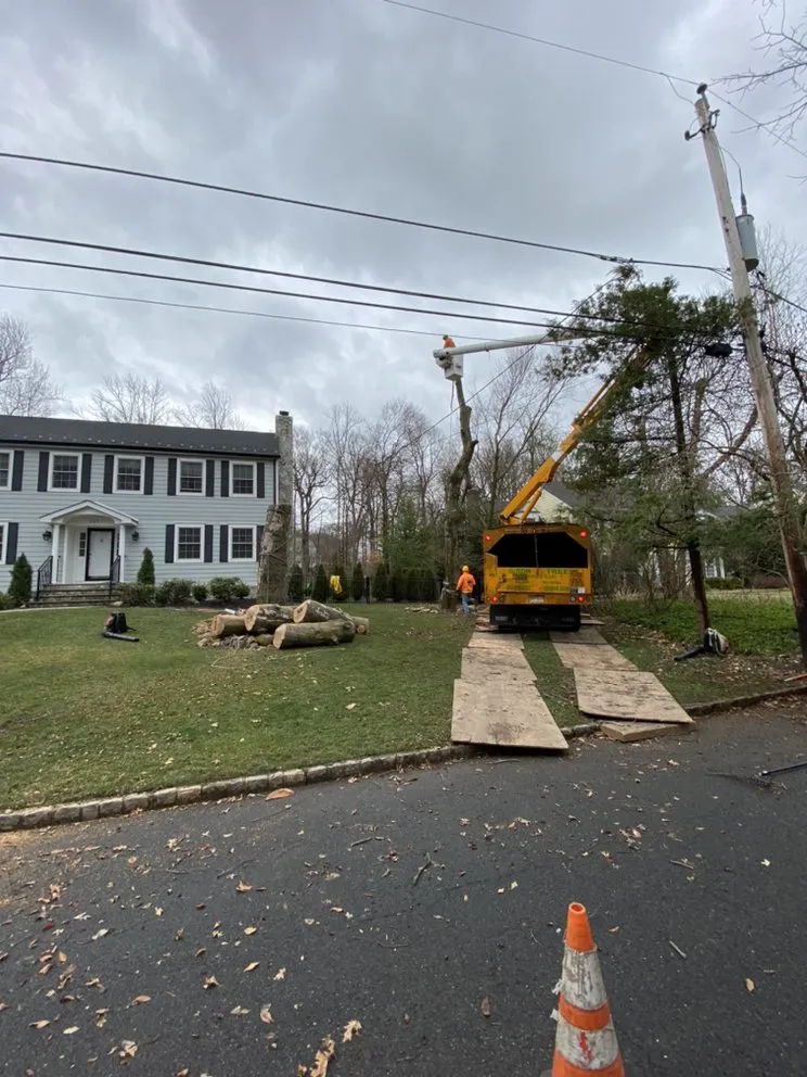 Affordable landscape installation experts serving Elizabeth, NJ - Giron's Tree Service