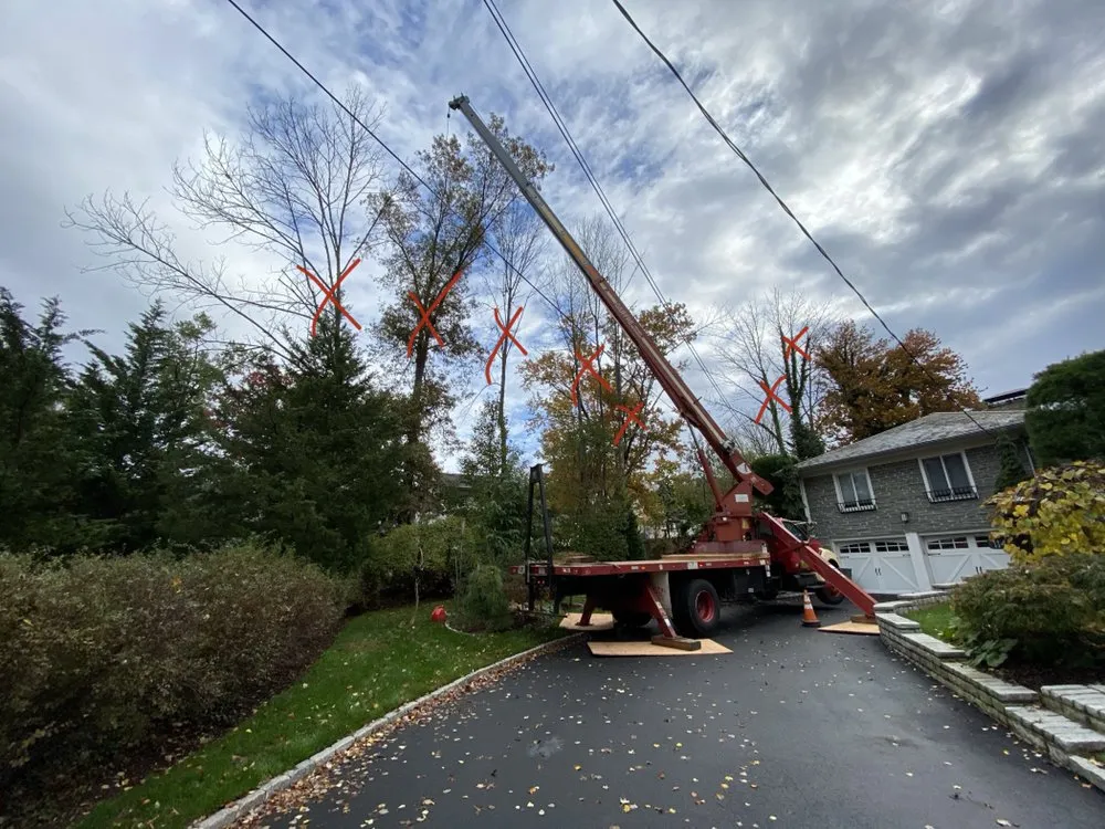 Expert residential landscaping for beautiful yards across Elizabeth, NJ - Giron's Tree Service