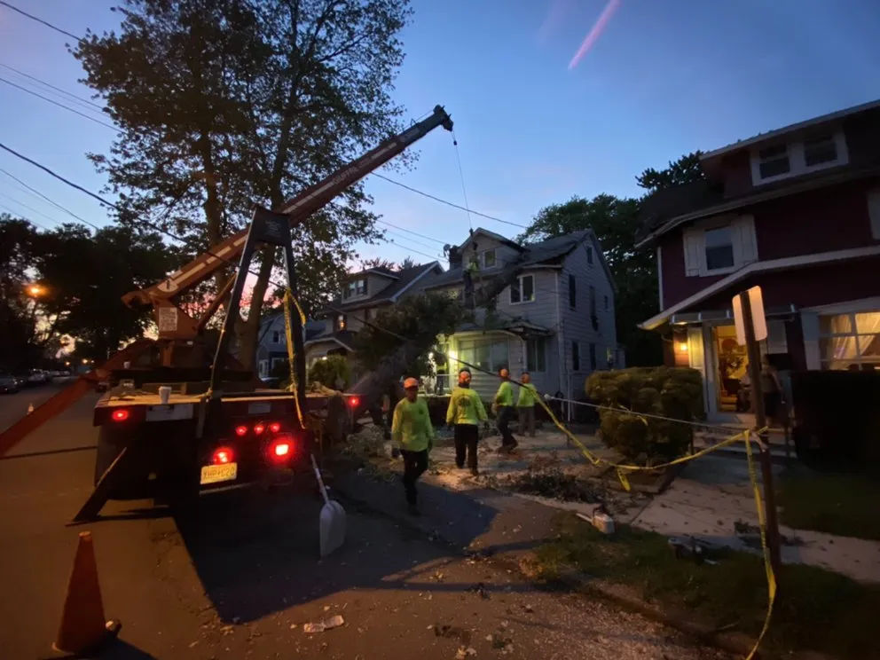 Expert yard cleanup service near you in Elizabeth, NJ by Giron's Tree Service