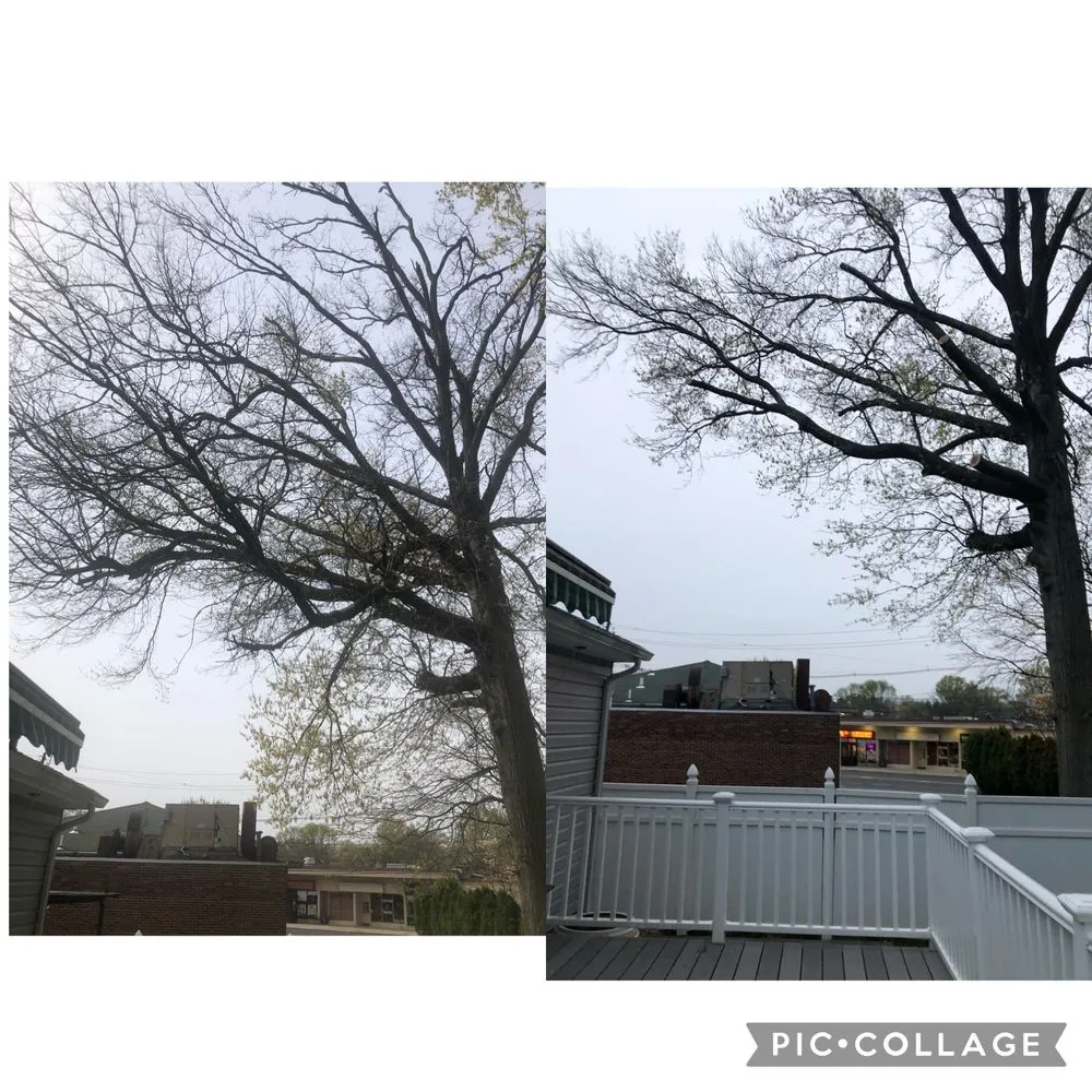 Affordable yard maintenance near you across Elizabeth, NJ - Giron's Tree Service