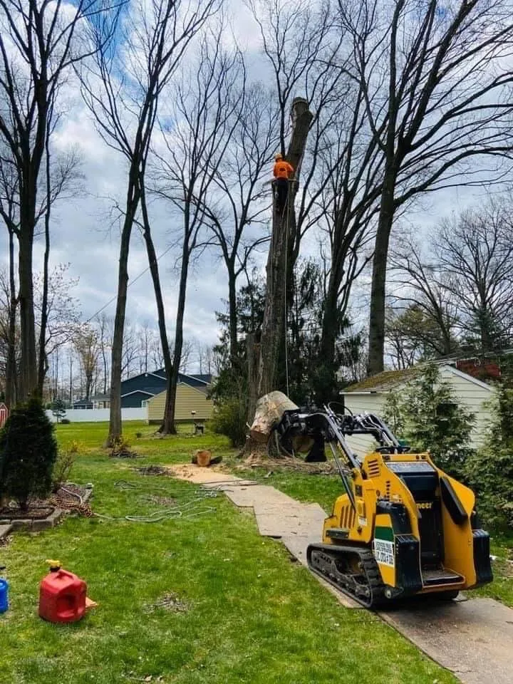 Custom outdoor landscaping for outdoor upgrades in Elizabeth, NJ by Giron's Tree Service