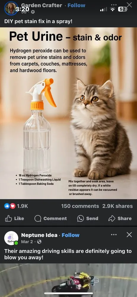 Expert landscaping services in Mount Jackson, VA by Git R Done Cleaning