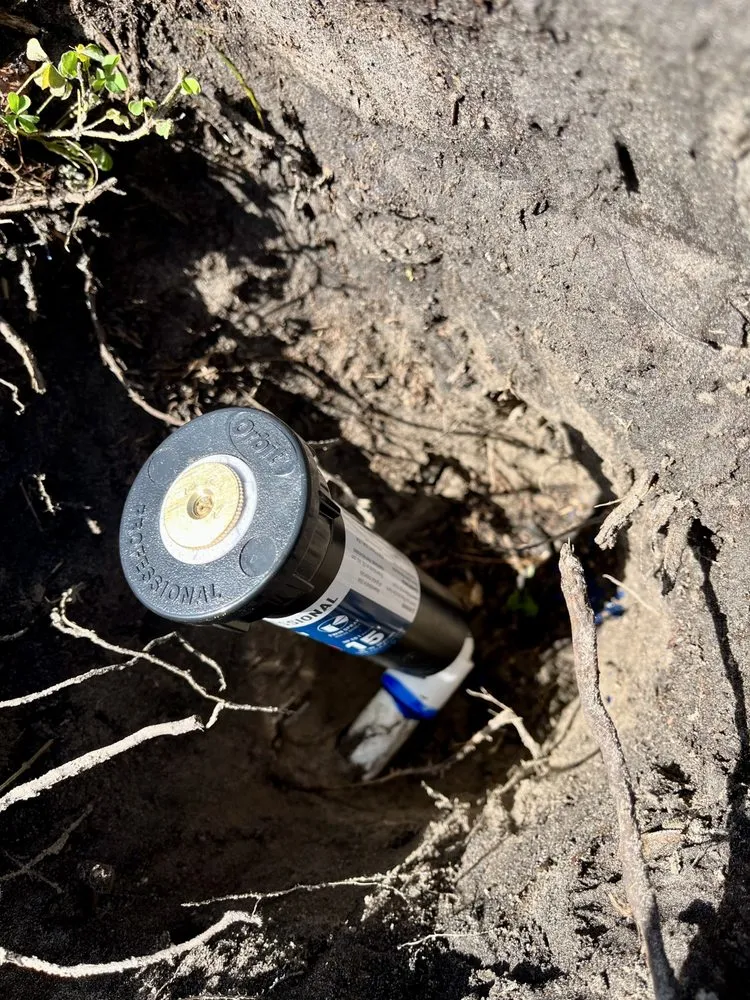 Professional landscaping services for beautiful yards across Thonotosassa, FL - Giuseppe’s Green Solutions