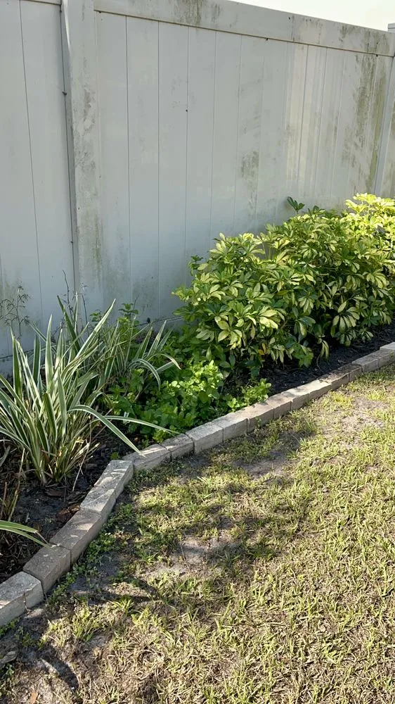 Top-rated yard cleanup service in Thonotosassa, FL - Giuseppe’s Green Solutions
