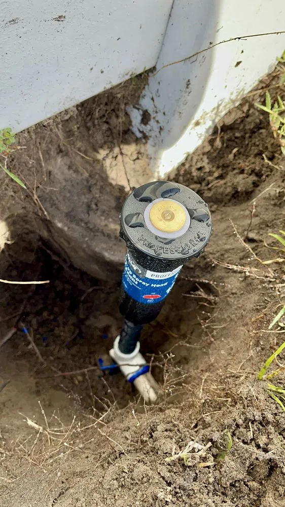 Top-rated landscape installation for outdoor upgrades in Thonotosassa, FL by Giuseppe’s Green Solutions