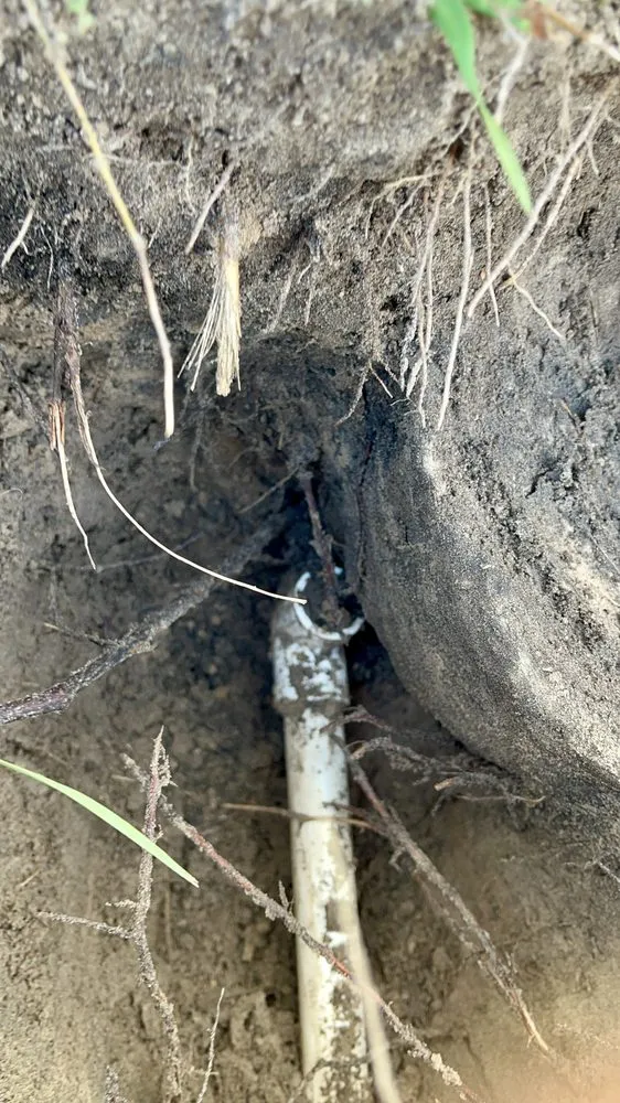 Custom landscape installation for year-round maintenance across Thonotosassa, FL - Giuseppe’s Green Solutions