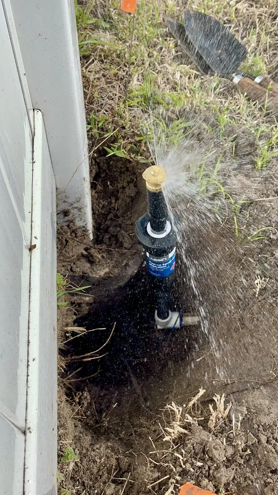 Custom landscape installation with custom design across Thonotosassa, FL - Giuseppe’s Green Solutions