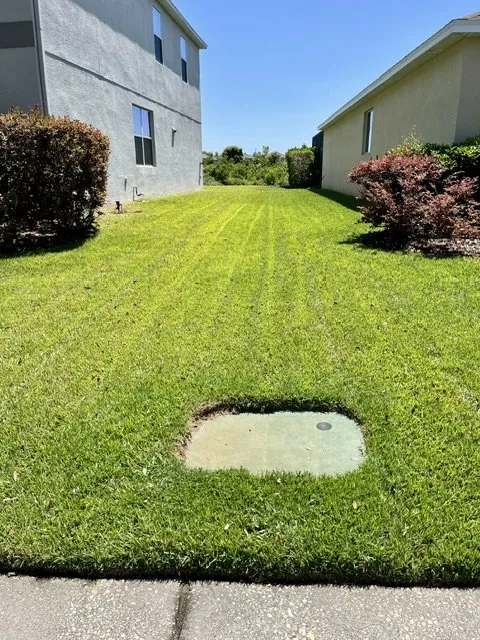 Top-rated garden landscaping in Thonotosassa, FL by Giuseppe’s Green Solutions