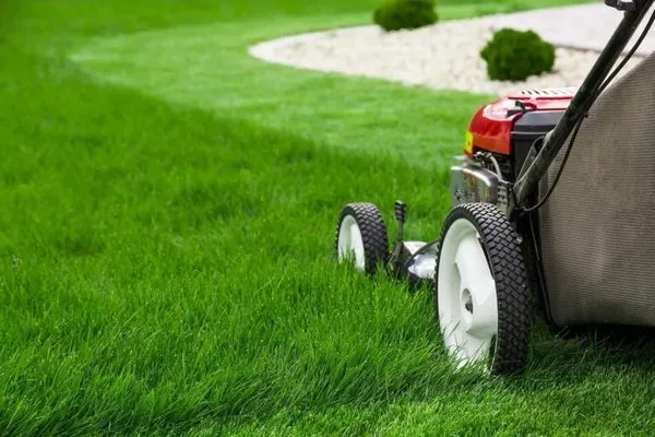Give It A Mow Logo