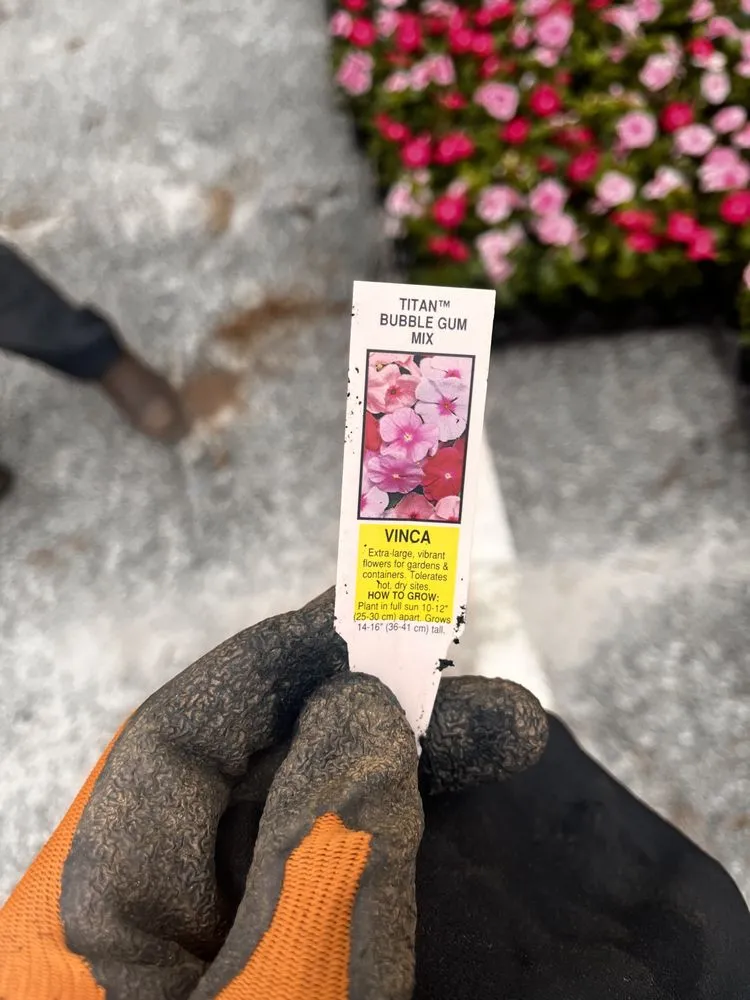 Affordable lawn care service for year-round maintenance in Stone Mountain, GA by Give Receive