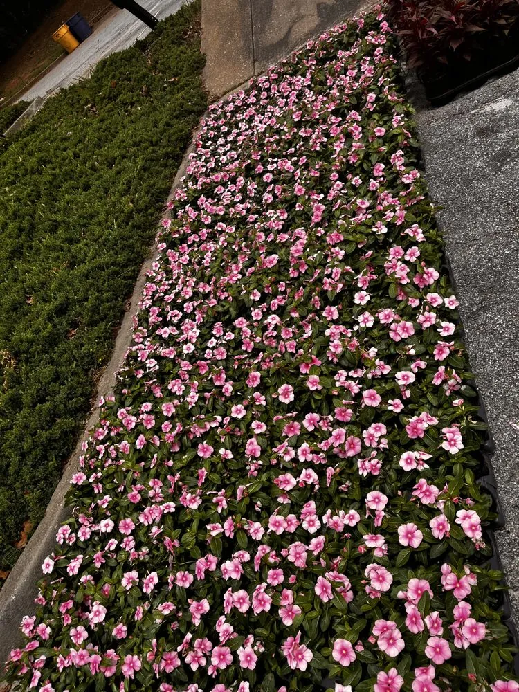 Custom landscape design in Stone Mountain, GA by Give Receive