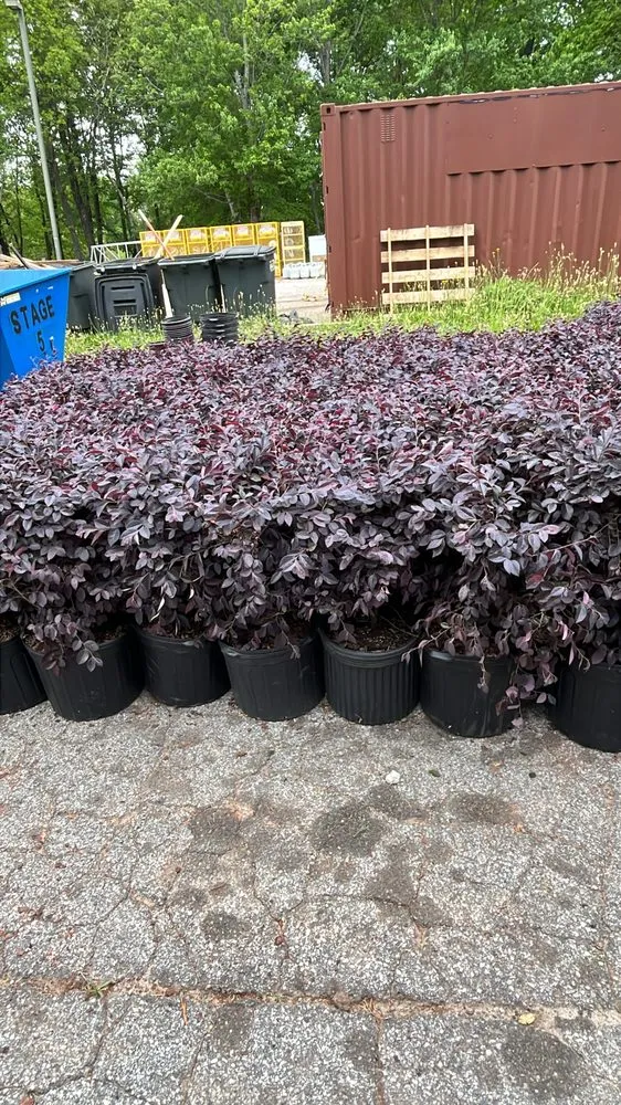 Trusted landscape design experts serving Stone Mountain, GA - Give Receive