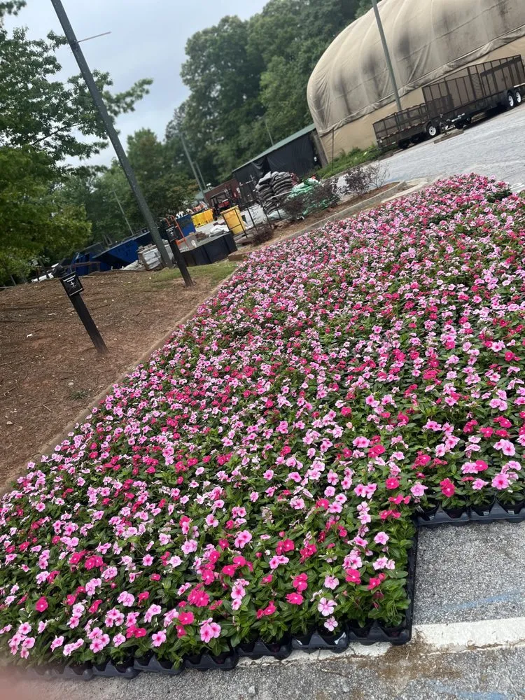 Trusted yard cleanup service in Stone Mountain, GA by Give Receive