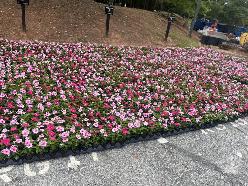 Trusted landscape installation experts serving Stone Mountain, GA - Give Receive