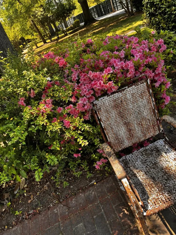 Top-rated landscape design in Stone Mountain, GA - Give Receive