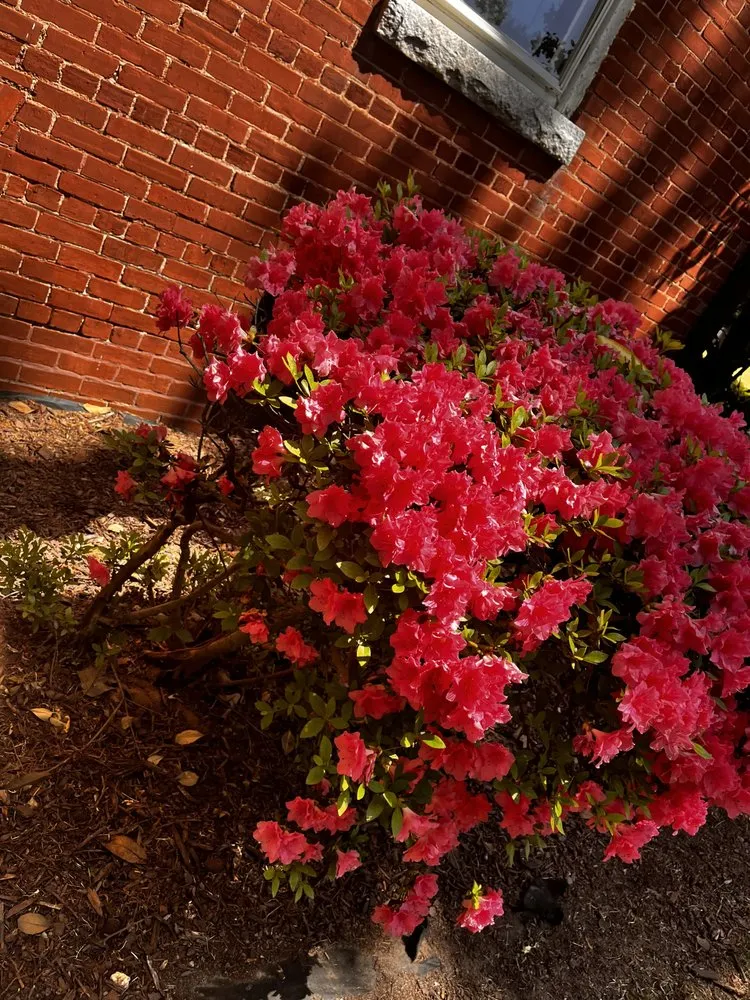 Top-rated outdoor landscaping in Stone Mountain, GA by Give Receive