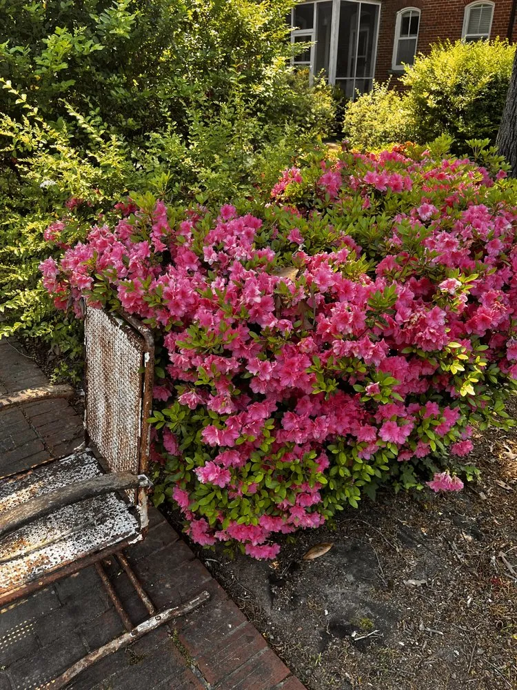 Custom landscaping services for residential properties in Stone Mountain, GA by Give Receive