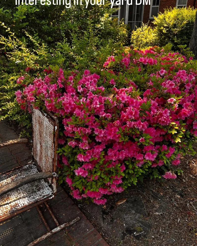 Top-rated residential landscaping for beautiful yards in Stone Mountain, GA by Give Receive