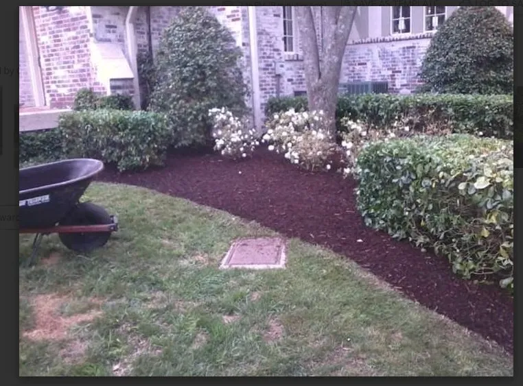 Affordable landscape design for year-round maintenance across Hartselle, AL - Givens Landscaping