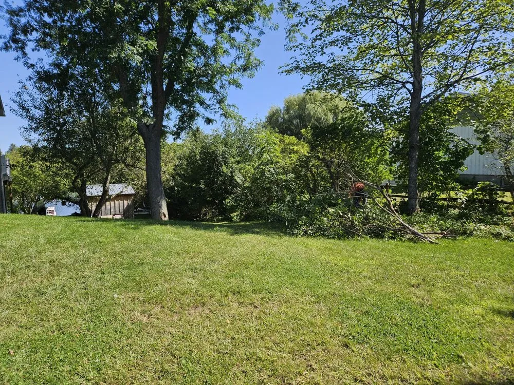 Top-rated lawn care service experts serving Russell, NY - Givens Lawn and Tree Care