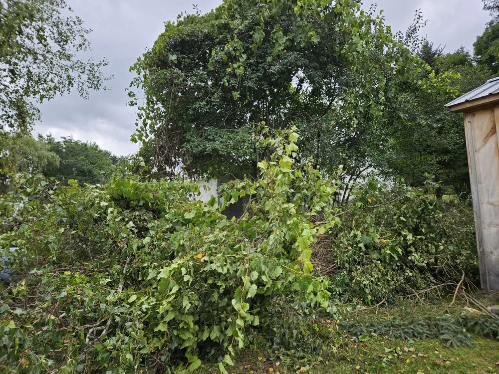 Expert landscape design experts serving Russell, NY - Givens Lawn and Tree Care