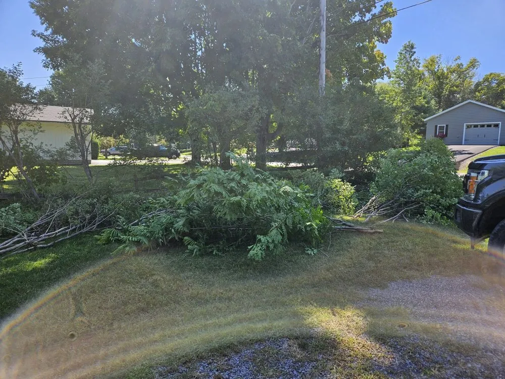 Professional yard maintenance near you in Russell, NY by Givens Lawn and Tree Care