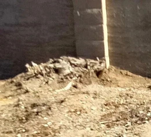 Local landscape installation for homes across Tracy, CA - Giving Back Gardening