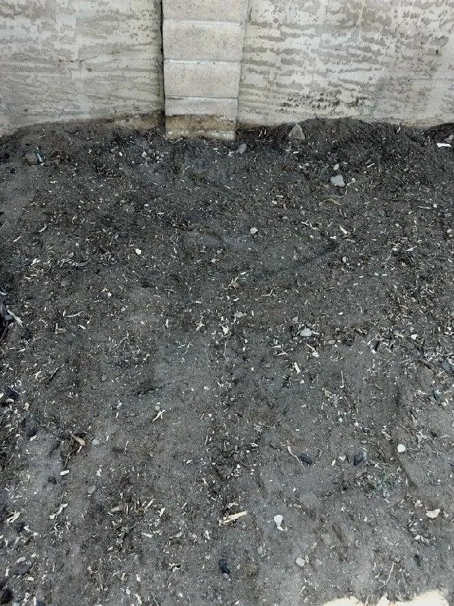 Professional outdoor landscaping for beautiful yards in Tracy, CA by Giving Back Gardening