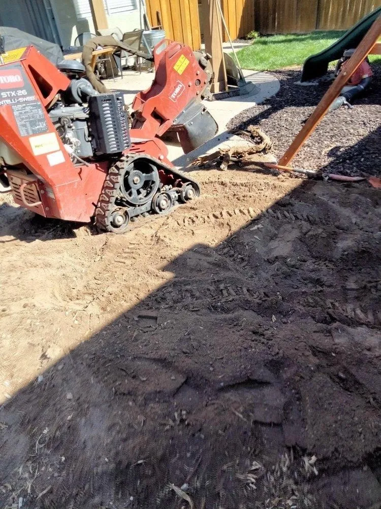 Affordable residential landscaping in Tracy, CA by Giving Back Gardening