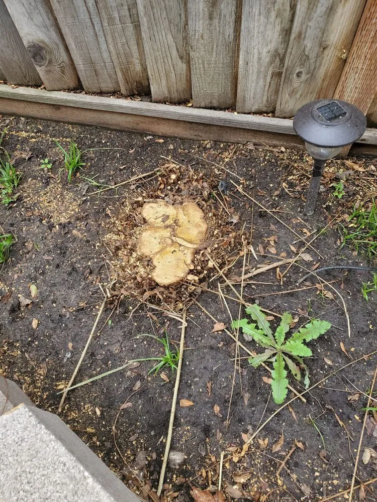 Reliable landscape installation experts serving Tracy, CA - Giving Back Gardening