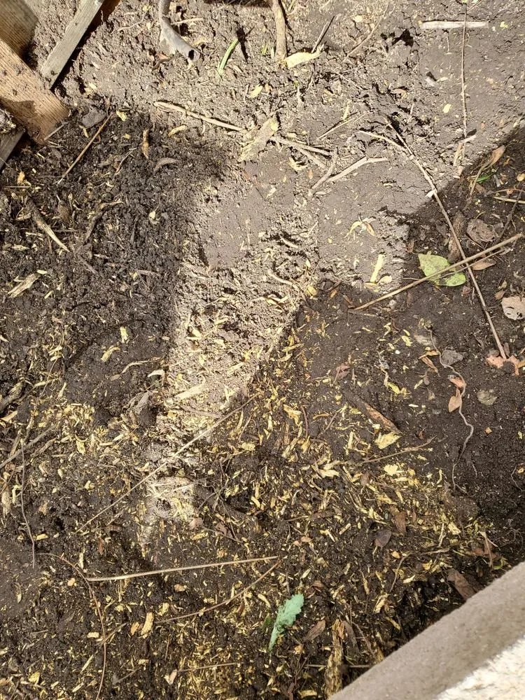 Top-rated landscape design experts serving Tracy, CA - Giving Back Gardening